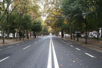 arvoredo cidades