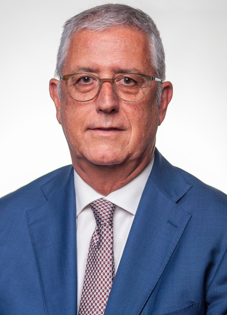 fernando negrao