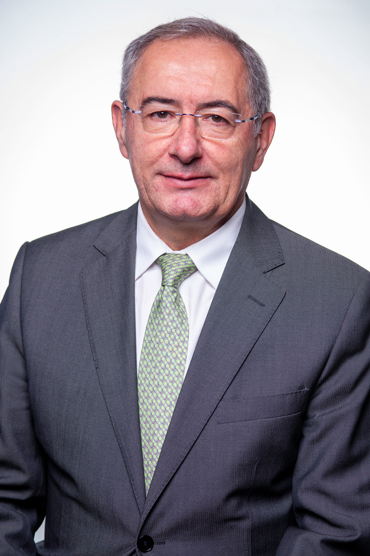 José Cesário da Comissão Parlamentar do PSD