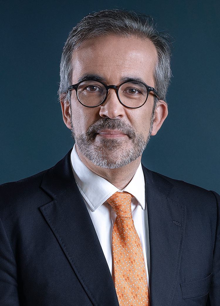 Presidente do Grupo Parlamentar do PSD Paulo Rangel