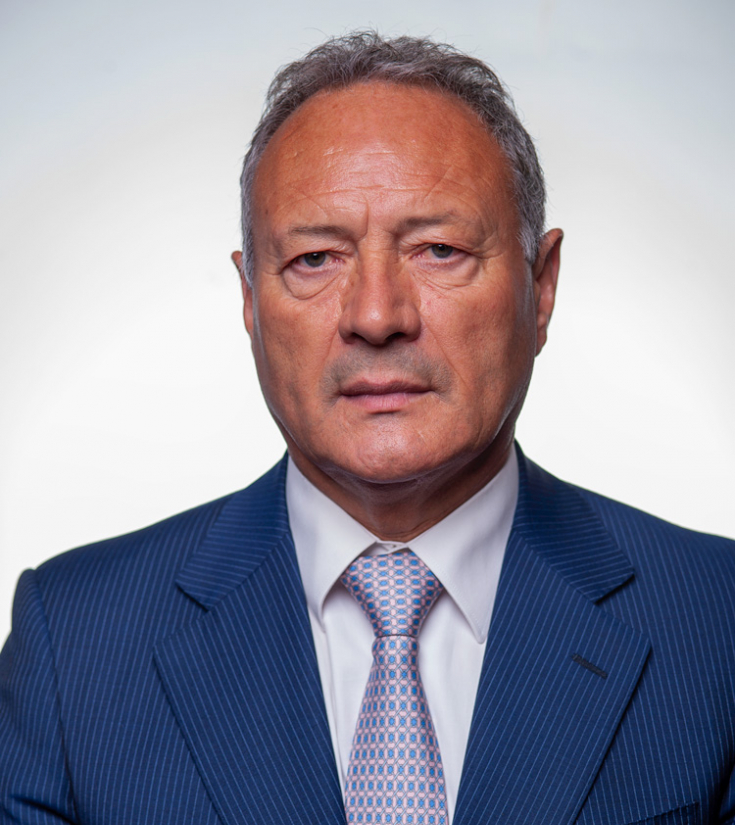 Adão Silva da Comissão Parlamentar do PSD