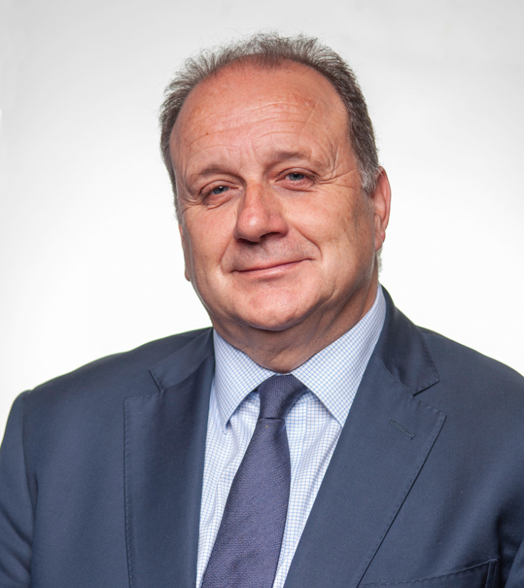 Carlos Gonçalves da Comissão Parlamentar do PSD